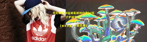 прущая мука Магас