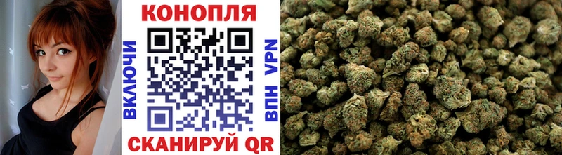 Бошки Шишки план  купить наркоту  Разумное 
